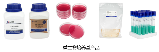 北京陸橋與您相約全國科普日 助力國家科技,守護(hù)“舌尖上的安全” 北京陸橋與您相約全國科普日 助力國家科技,守護(hù)“舌尖上的安全”
